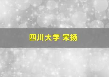 四川大学 宋扬